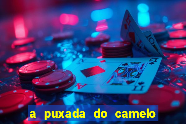 a puxada do camelo no jogo do bicho